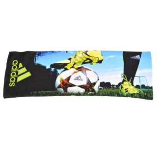 Polyester Cooling Towels