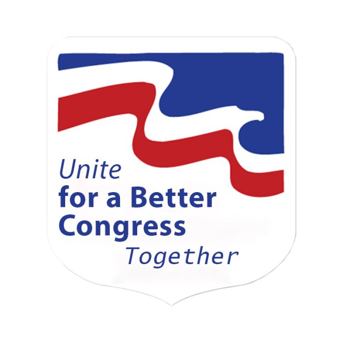 Imprinted Elect or Election Shape Paper Hand Fans w/out Stick 