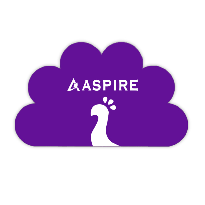 Personalized Peacock NBC Shape Paper Hand Fans without Stick