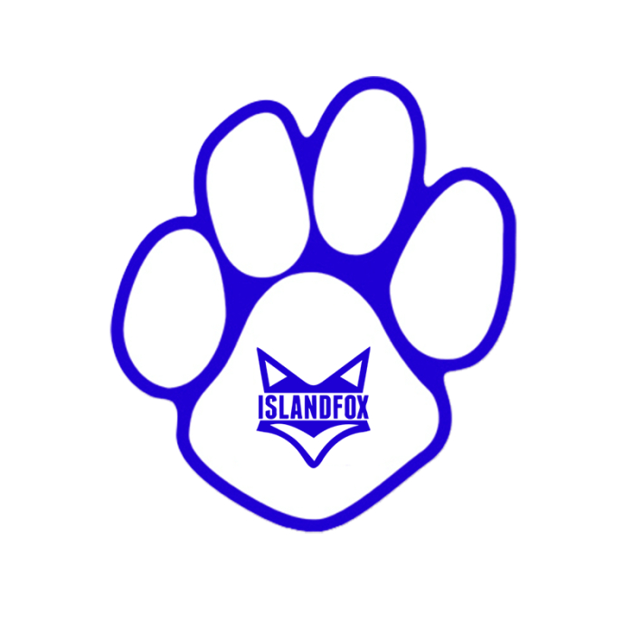 Promotional Paw Shape Paper Hand Fans without Stick 