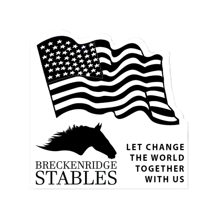 Promotional Waving Flag Shape Paper Hand Fans W/out Stick 