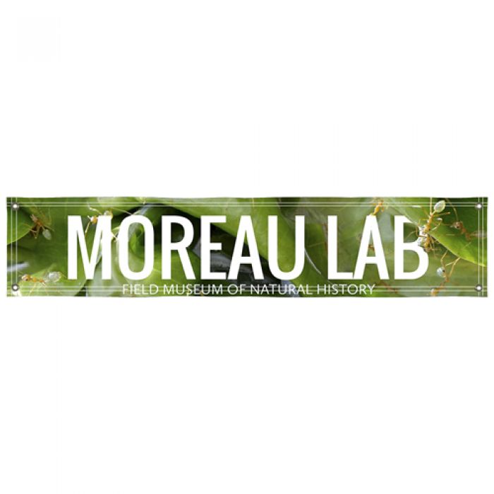 2' x 10' Promotional Smooth Vinyl Single-Sided Interior Banners