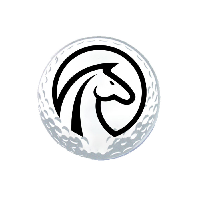 2 1/2 Inch Custom Round Button 2-Piece with Safety Pins