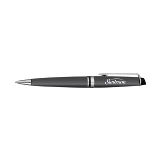 Waterman Expert Matte Ballpoint Pens