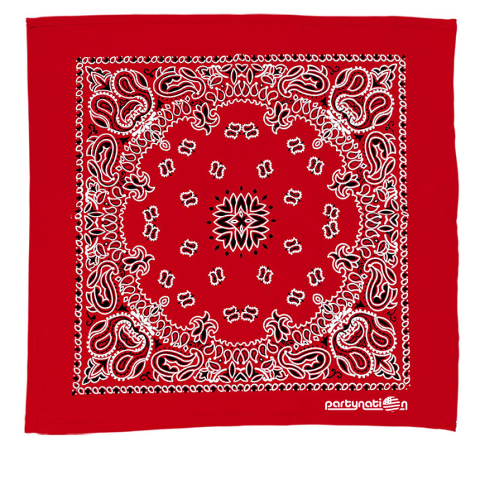 Custom 22 Inch Bandanas with Stock Paisley Pattern