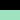 Black/Seafoam Green