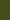 Army/White
