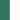 Hunter Green/White