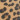 Leopard Leopard