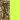 Mossy Oak Break-Up Country/Neon Yellow