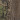 Mossy Oak DNA/Khaki Mossy Oak DNA/Khaki