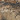 Realtree Edge