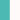Teal Blue/White