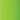 Translucent Lime