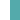 White with Teal