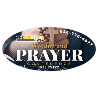 3.75x8 Inch Full Color Oval Magnets