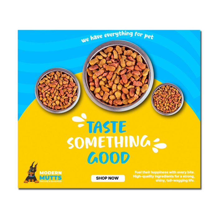 3.25x3.75 Inch Custom Full Color Magnets