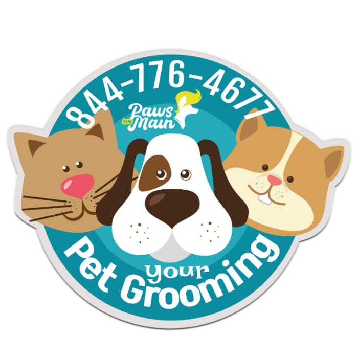 Custom 28 to 33.99 Square Inch Die Cut Magnets