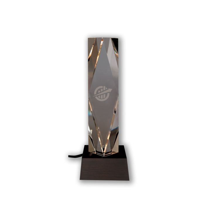 Customized Dramatis Awards with Lighted Base