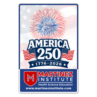 USA 250th 4x6 Round Corner Indoor Magnet - 20 Mil